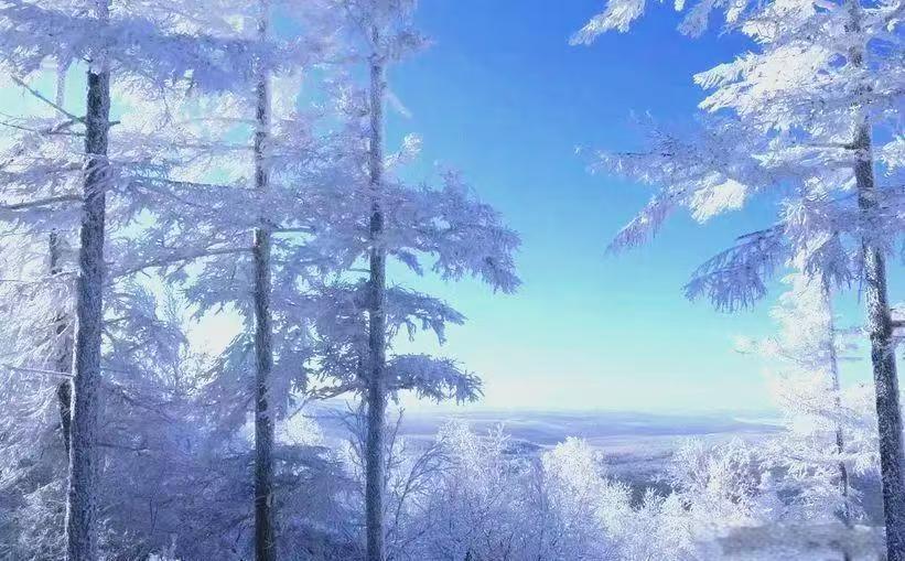 【酒家】呼伦贝尔草原冬之韵（散文）