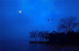 【八一】孤独的守夜人：夕阳西下（散文）