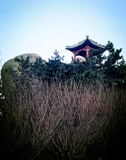 【东篱】莲花石（散文）