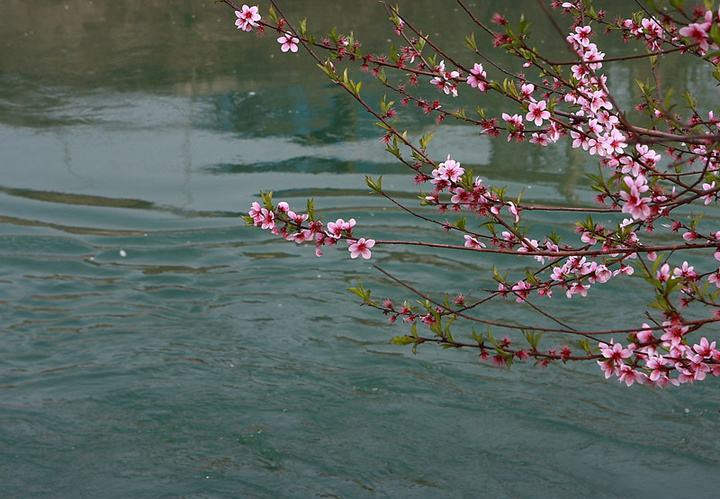【风恋】脱离水的骨质（组诗）