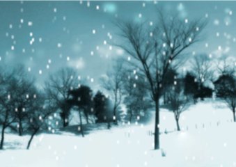 【流年】还记得那场雪吗（散文）