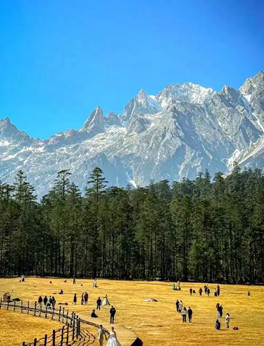【江山·风景线】【东篱】云杉坪记（散文）