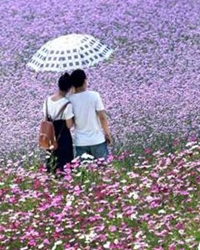小花的抗议（外一篇）