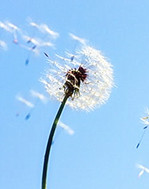 【浪花·感动】撑开一把远行的伞（散文）