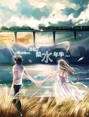 【菊韵】终成忆（随笔）