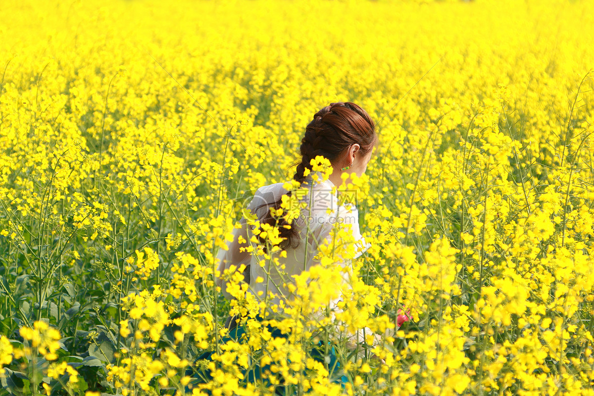 【丁香】愿浅夏静好（散文）