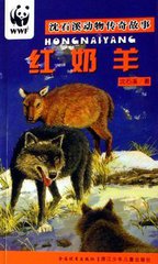 我最喜欢的一本书（读后感）