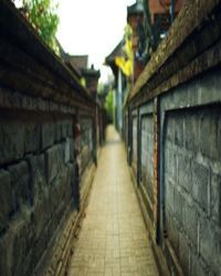 人生何必太相思， 何不细品岁月静好