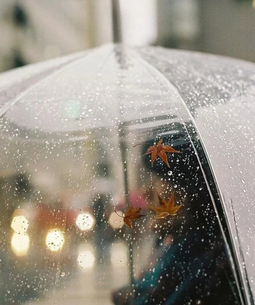 【文璞】武汉的一个雨天（散文）