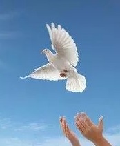 【看点】落空的希望（小说）