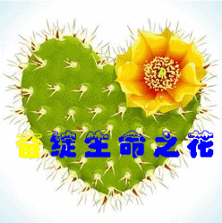 【柳岸】奋绽生命之花（散文）