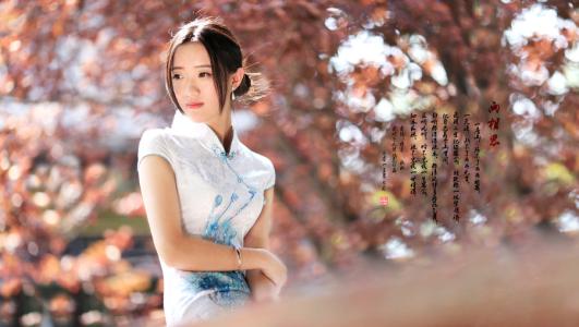 【歌词】爱你就是我的命