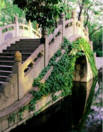 【柳岸】沿着原路找寻曾经的爱（散文）