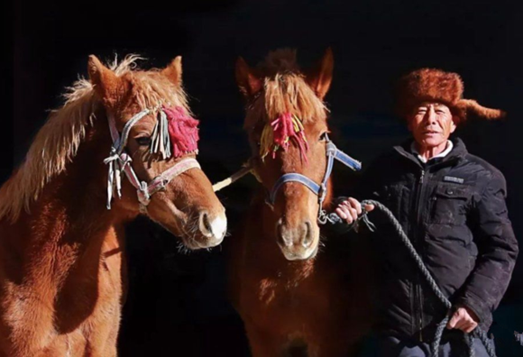 【柳岸·曾经】宝银爷和他的马（散文）
