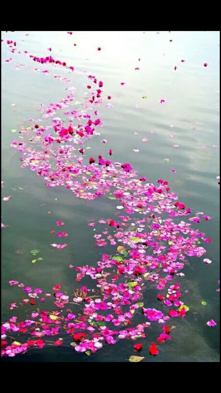 【八一】七律·风雨（古韵外六首·家园）