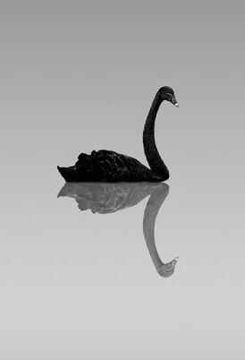 【菊韵】隐形（诗歌五首）