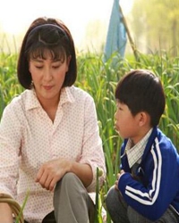 一次性感动