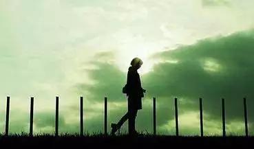 【流年·愿】在路上（征文·散文）