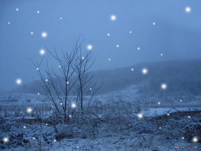 【流年•雪】被雪打湿的记忆（征文•散文）