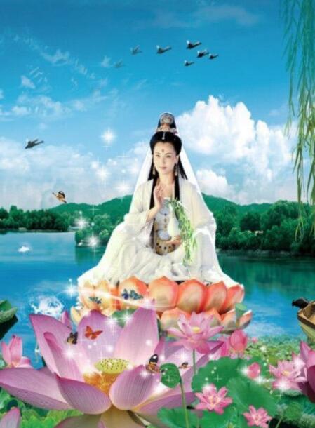 【菊韵】慕莲（小说）