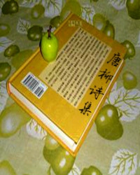 【江山人赏江山文】生命的剧痛，诗性的承受（看点文学）