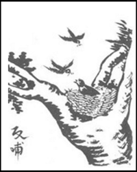 恩  儿