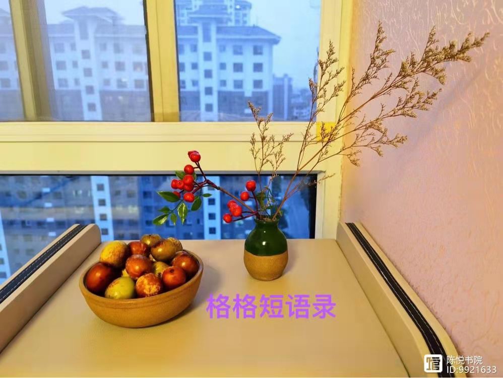 【绿野】人生不易，你来我往皆天意（随笔）