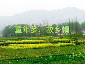 【宁静·悟】重温童年梦（散文）