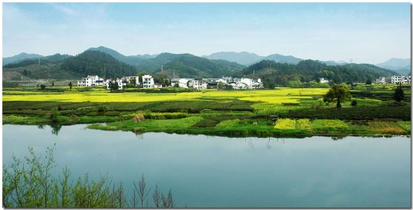 【八一】结果（微小说·家园）