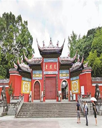【微刊视界】蚂蚁砌筑的大坟墓