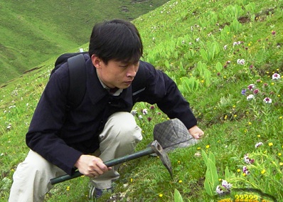 【丁香花语】挖虫草（散文）