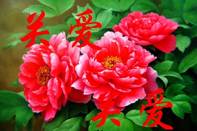 【丁香花语】隐形人（小说）