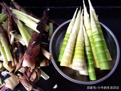 【宁静·遇】田野菜蔬香（散文）