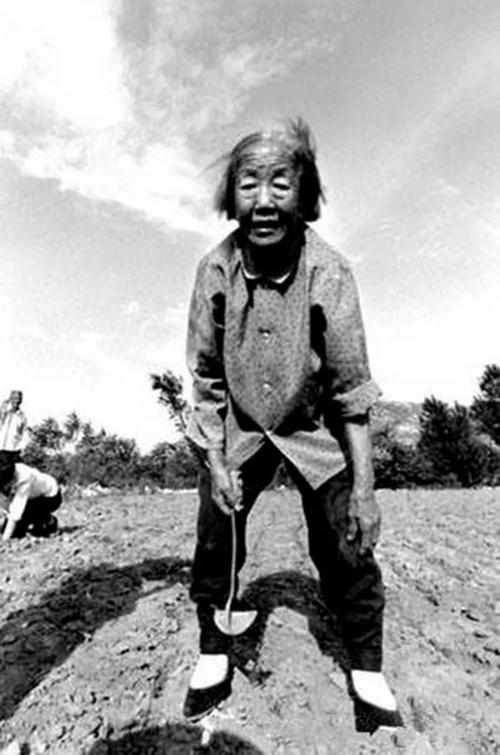 【丹枫】苦命的小姨（散文）