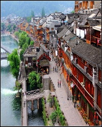 悲情凤凰