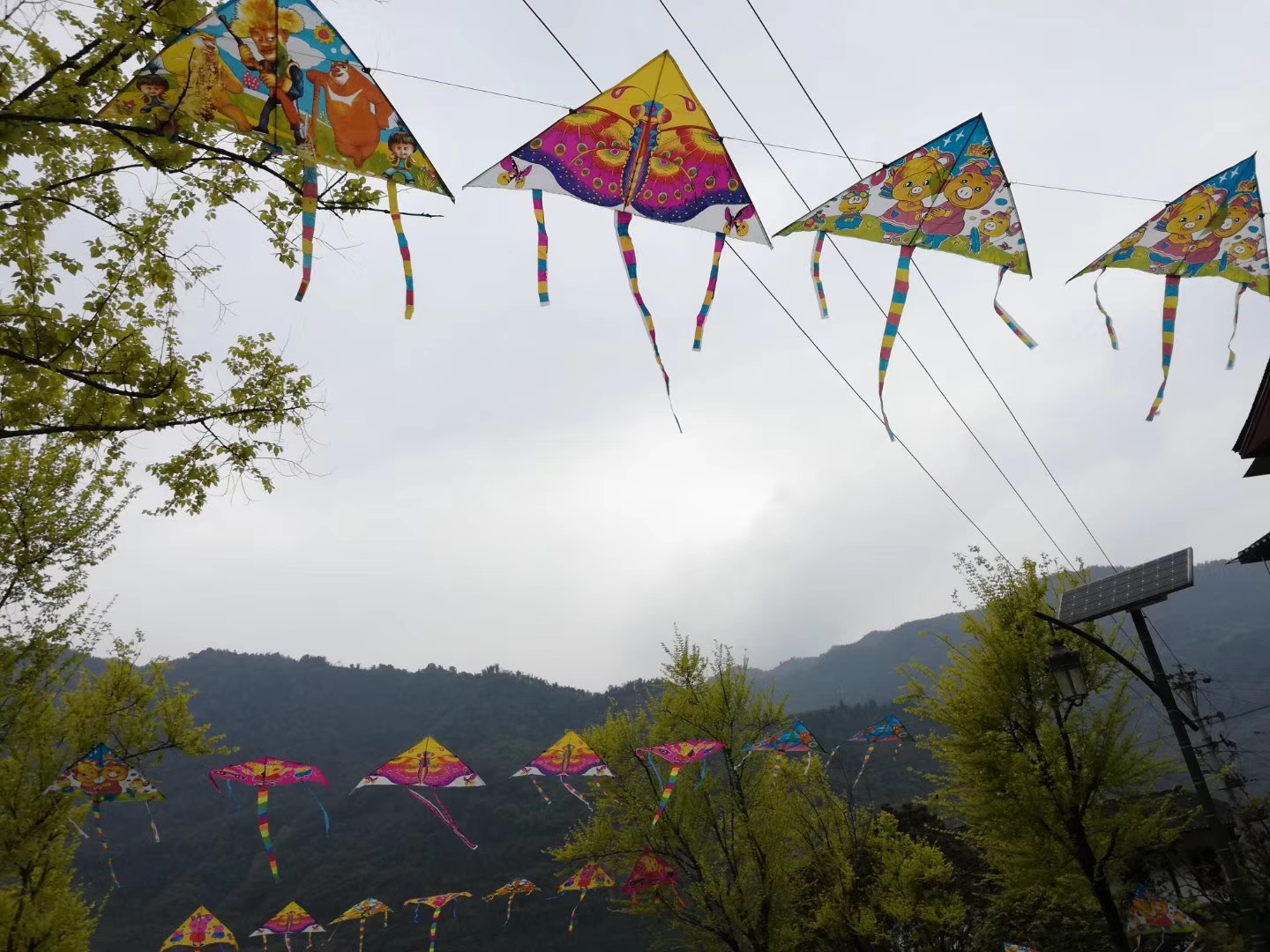 【南山】醉在凯旋（散文）