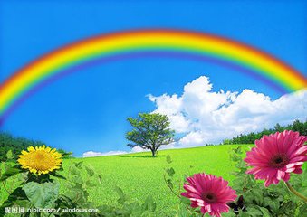 【萌芽春天】白天的春天和夜晚的春天（童话）