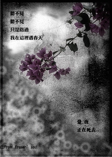 【流年·人间值得】殇（征文·小说）