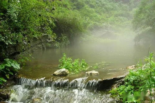 【八一】秋水垂钓：生命的长河（散文）