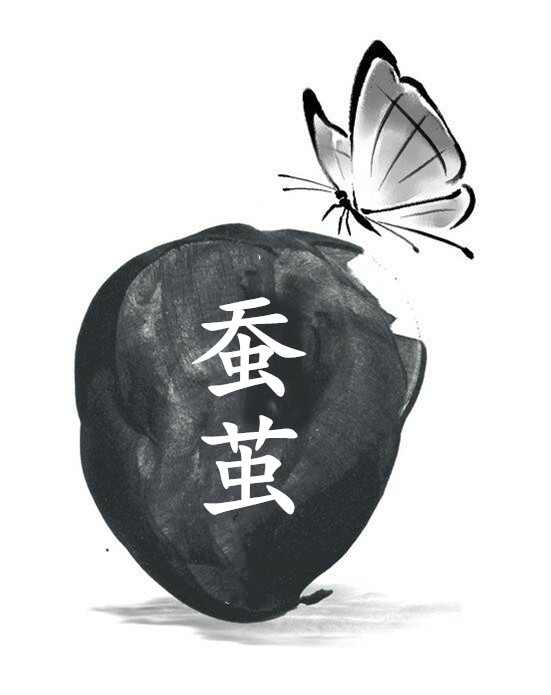 【柳岸•韵】蚕茧（散文）
