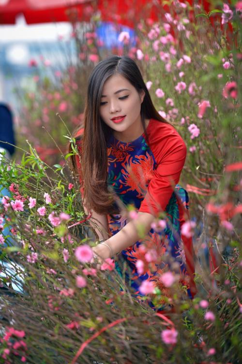 【唱词】赞花