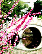 【浪花】凤凰台上忆吹箫三阙（古韵）