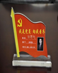 我是一名党员（散文）