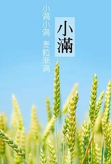 【流年】小满见三新（散文）