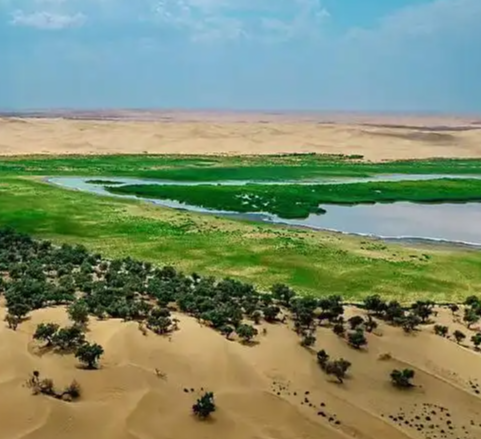 【酒家】踏沙寻梦乌兰布和（散文）