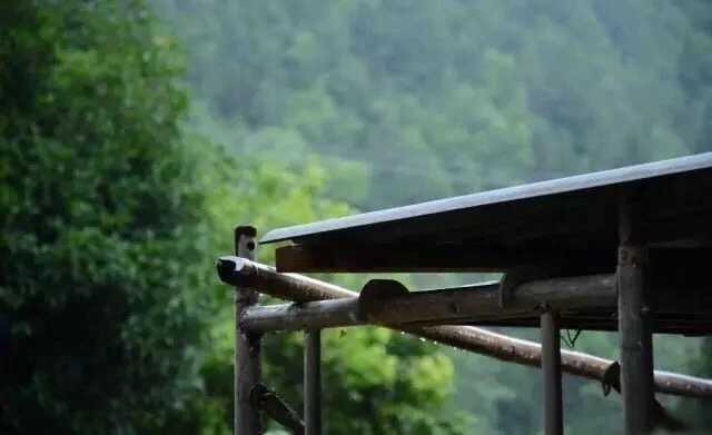 【回归】禁止通行（小说）