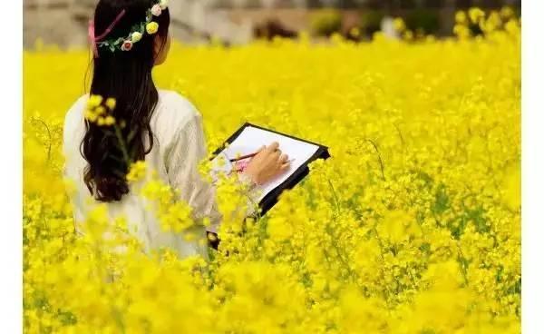 【荷塘“有奖金”征文】走吧，一起去看油菜花（散文）