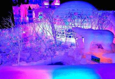【荷塘“有奖金”征文】雪之冠（散文）