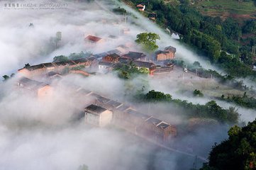 【萌芽春天】望云峰的春天（游记）