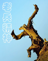 老兵